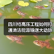 四川特高压工程如何打通清洁能源输送大动脉?(图1) 四川特高压工程如何打通清洁能源输送大动脉?(图1)