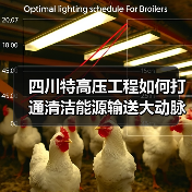 四川特高压工程如何打通清洁能源输送大动脉?(图4) 四川特高压工程如何打通清洁能源输送大动脉?(图4)