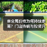 贵金属价格为何持续走高？门店热销与投资升温背后的驱动因素（图4）