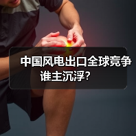 中国风电出口全球竞争谁主沉浮?(图2) 中国风电出口全球竞争谁主沉浮?(图2)