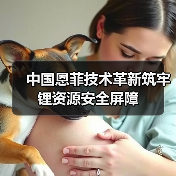 中国恩菲技术革新筑牢锂资源安全屏障(图4) 中国恩菲技术革新筑牢锂资源安全屏障(图4)