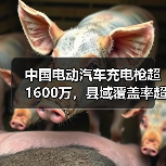 中国电动汽车充电枪超1600万，县域覆盖率超97%（图4）