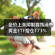 金价上涨抑制首饰消费 黄金ETF增仓173%（图1）