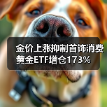 金价上涨抑制首饰消费 黄金ETF增仓173%（图2）
