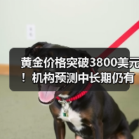 黄金价格突破3800美元!机构预测中长期仍有上涨空间(图3) 黄金价格突破3800美元!机构预测中长期仍有上涨空间(图3)
