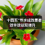 十四五 十四五