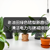 老油田绿色转型新路径:清洁电力与碳减排技术如何助力?(图2) 老油田绿色转型新路径:清洁电力与碳减排技术如何助力?(图2)