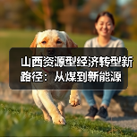 山西资源型经济转型新路径:从煤到新能源(图4) 山西资源型经济转型新路径:从煤到新能源(图4)