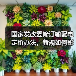 国家发改委修订输配电定价办法,新规如何影响电力价格?(图4) 国家发改委修订输配电定价办法,新规如何影响电力价格?(图4)