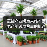 氢能产业拐点来临?绿氢产能破局背后的机遇与挑战(图2) 氢能产业拐点来临?绿氢产能破局背后的机遇与挑战(图2)