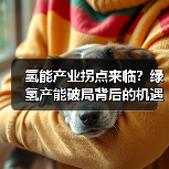 氢能产业拐点来临?绿氢产能破局背后的机遇与挑战(图4) 氢能产业拐点来临?绿氢产能破局背后的机遇与挑战(图4)