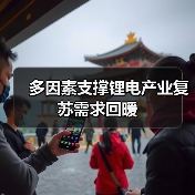 多因素支撑锂电产业复苏需求回暖(图3) 多因素支撑锂电产业复苏需求回暖(图3)