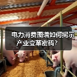 电力消费图谱如何揭示产业变革密码？（图2）