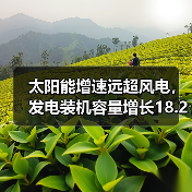 太阳能增速远超风电,发电装机容量增长18.2%的真相是什么?(图2) 太阳能增速远超风电,发电装机容量增长18.2%的真相是什么?(图2)