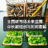 全国碳市场未来蓝图:中长期规划与时间表解析(图4) 全国碳市场未来蓝图:中长期规划与时间表解析(图4)