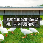 氢能全链条发展前景可期,未来机遇如何?(图2) 氢能全链条发展前景可期,未来机遇如何?(图2)