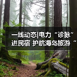 一线动态|电力“诊脉”进民宿 护航海岛旅游“不降温”（图2）