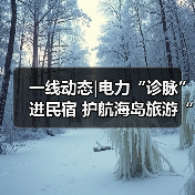一线动态|电力“诊脉”进民宿 护航海岛旅游“不降温”（图4）