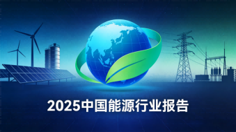 2025年中国能源行业报告：绿色转型下的变革与展望
