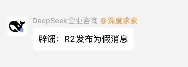 DeepSeek 官方：“R2 将在 3 月 17 日发布”为假消息 - 兰州联臻能源网