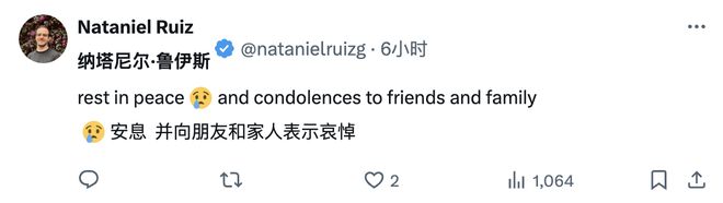 谷歌 DeepMind 天才科学家 Felix Hill 英年早逝，年仅 41 岁