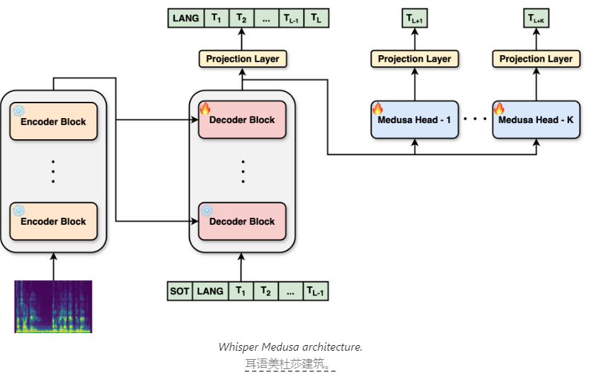 以色列公司推出速度提升50%的开源语音识别模型Whisper Medusa - 兰州联臻能源网