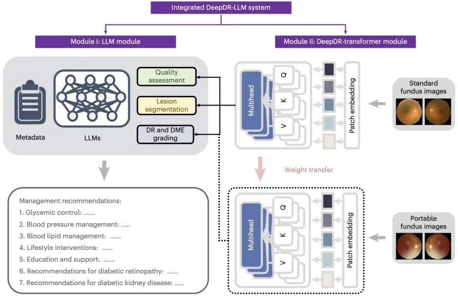 国际首个，我国团队开发糖尿病诊疗多模态大模型 DeepDR-LLM - 兰州联臻能源网