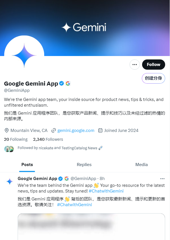 Gemini 现已登陆 X Google Gemini品牌罕见亮相 - 兰州联臻能源网