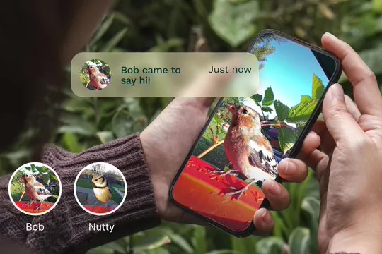 能给后院鸟儿起名，智能喂食器用 AI 技术识别鸟类个体 - 兰州联臻能源网