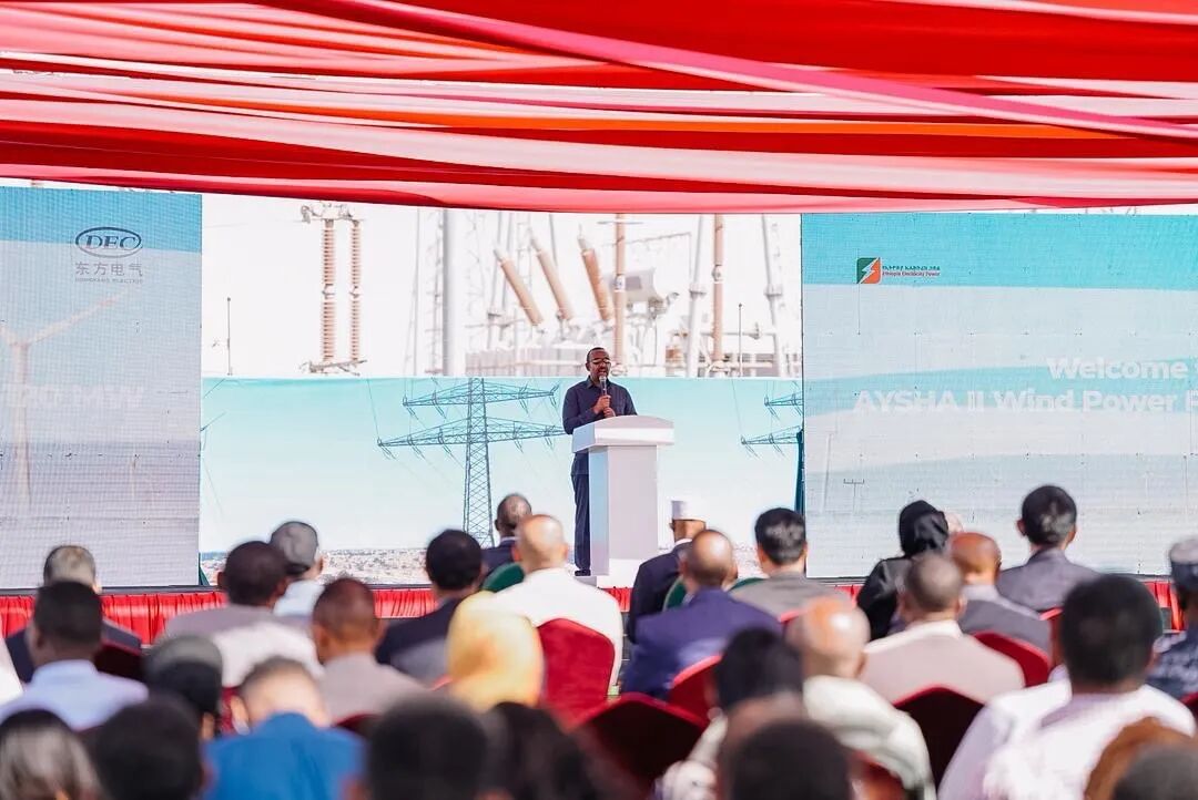 埃塞俄比亚最大风电项目投产，三国领导人出席见证 - 兰州联臻能源网