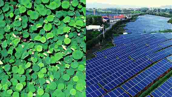 光伏组件积灰难题终极解决方案，实现高效自