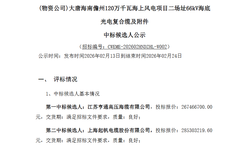 海上风电项目海底电缆招标结果揭晓，助力清洁能源发展 - 兰州联臻能源网